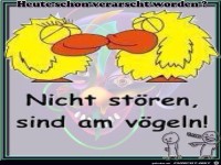 Nicht stoeren