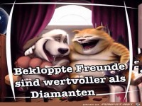bekloppte