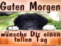 Wuensch dir einen tollenTag