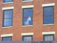 The-last-thing-youd-expect-to-see-when-looking-at-a-building