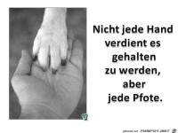 Hand und Pfote