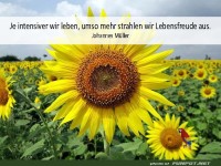 Je intensiver wir leben