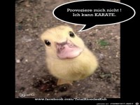 Provoziere mich nicht