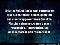 Erfurter Polizei findet zwei betrunkene Igel.....