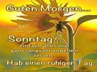 Guten Morgen Sonntag