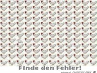Finde den Fehler