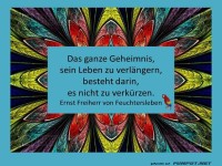 Das ganze Geheimnis 1