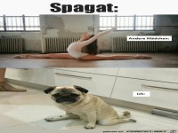 Spagat knnen nicht alle