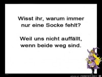 Wisst ihr, warum immer nur eine Socke fehlt ?