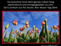 Du brauchst nicht