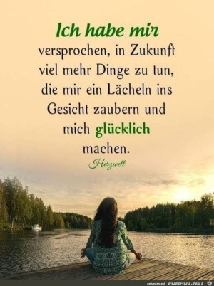 Ich-habe-mir-versprochen.jpg auf www.funpot.net