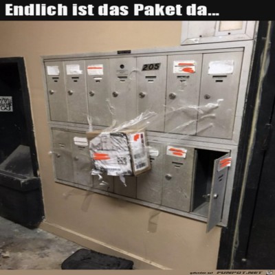 Ihr-Paket-ist-da.jpg von Enya