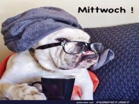 Mittwochsmorgen-Zauber: Kaffee zu, Spa� an!