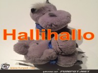 Das kuschelige Nilpferd sagt Hallo!