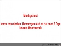 Montagstrost