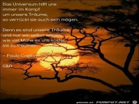Das Universum hilft uns...