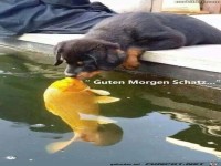 gutenMorgen Schatz