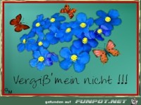 vergiss mein nicht