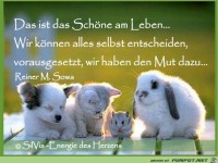 Das schoene am Leben