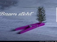 Baum