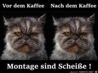 Montage sind Schei�e