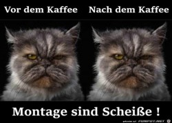 Montage-sind-Scheiße.jpg auf www.funpot.net