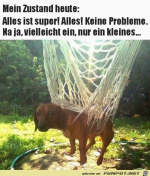 Ich-habe-nur-ein-ganz-kleines-Problem.jpg auf www.funpot.net