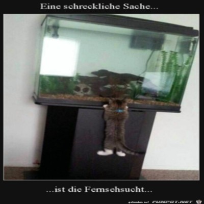 Fernseh-Sucht.jpg von Ida