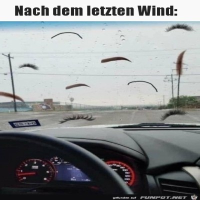 Vom-Winde-verwehte-Brauen-und-Wimpern.jpg von Mia