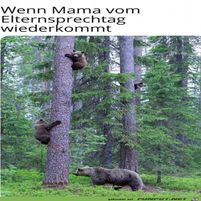 Schnell-weg.jpg von Pina