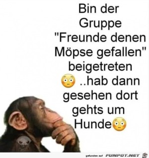 Gruppe-verwechselt.jpg auf www.funpot.net