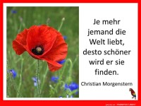 Je mehr jemand die Welt liebt 2