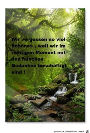 Wir-vergessen-so-viel-sch�nes.jpg auf www.funpot.net