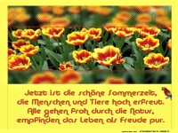 Jetzt ist die schne Sommerzeit