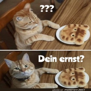 fun-Bild: Nicht dein Ernst