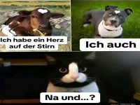 Herz auf der Stirn