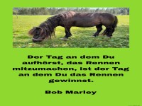 der tag, an dem du aufhrst