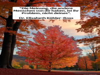 die meinung, die andere