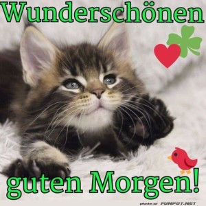 Guten-Morgen-Katze.jpg von Mattis