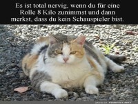 Die Hollywood-Diva, die keine war