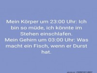 Nachts im Kopf: Der Fisch und sein Durst