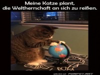Globale Pl�ne der Katze enth�llt!