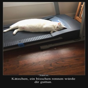 Wenn-das-Laufband-zur-Kuschelzone-wird.jpg von Gregor