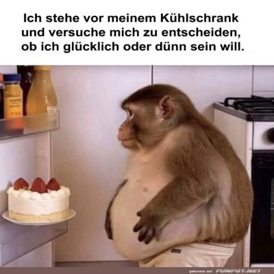 K&uuml;hlschrank-Dilemma:-Affe-vs.-Erdbeertorte.jpg von Valentina