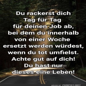 Arbeitsfalle-im-Hamsterrad.jpg von Erwin32