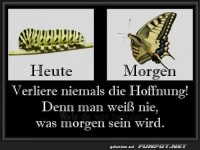 heute-morgen
