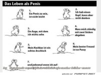 Das Leben als