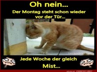 oh nein der montag