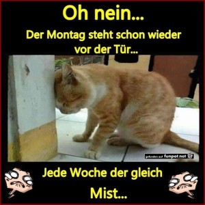 Begrüßungsbild
