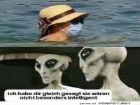 Sie sind nicht wirklich schlau